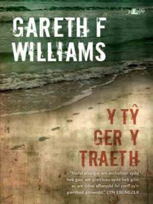 cover image of Y Tŷ Ger y Traeth